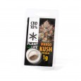 Mango Kush pollen 10%
